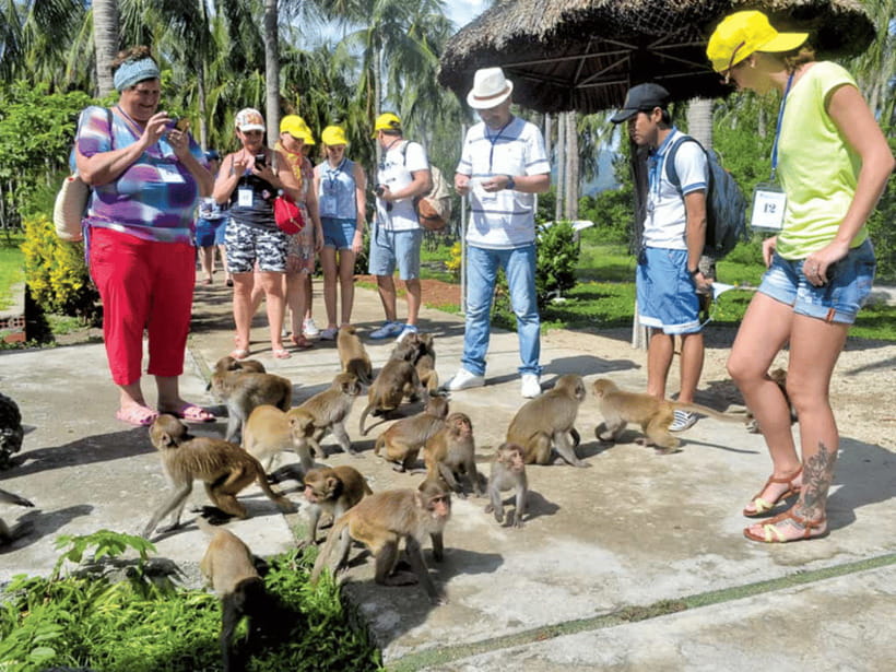 Nha Trang: Monkey Island With Orchids Island Combo Ticket - Discovering Hidden Trails and Breathing Fresh Jungle Air
