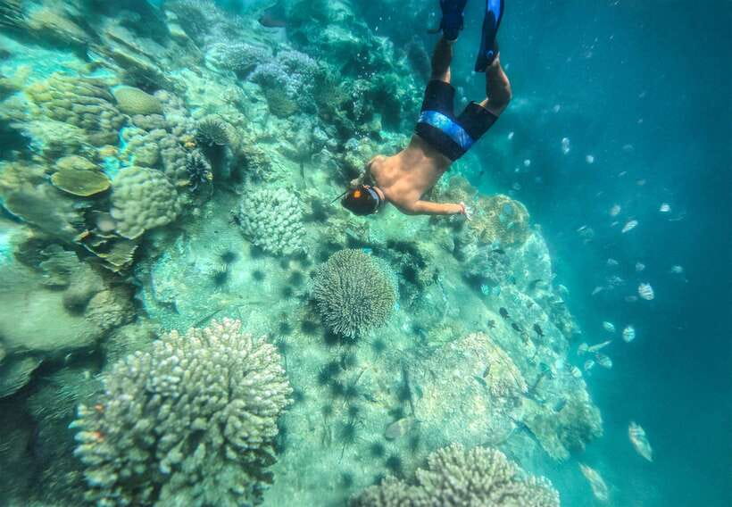 Nha Trang: Mun Island Marine Park and Coral Reef Snorkeling - Snorkeling at Marine Park