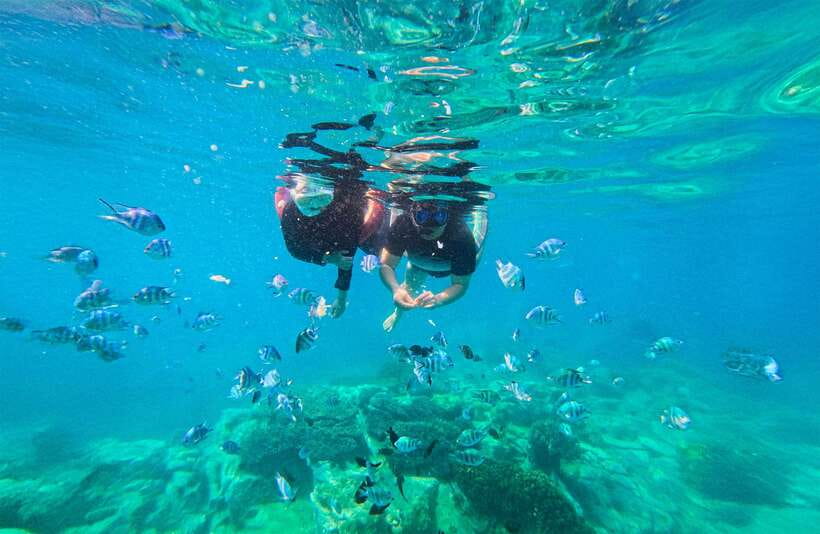 Nha Trang: Mun Island Marine Park and Coral Reef Snorkeling - Snorkeling at Hon Mot Coral Reef