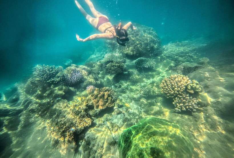 Nha Trang: Mun Island Marine Park and Coral Reef Snorkeling - Important Considerations and Recommendations