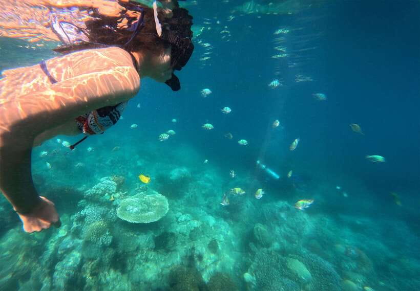 Nha Trang: Mun Island Marine Park and Coral Reef Snorkeling - Frequently Asked Questions