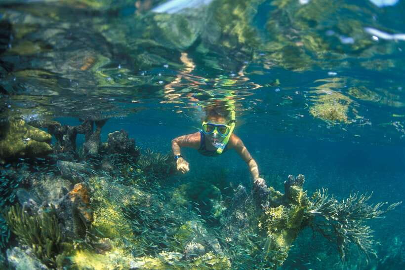 Nha Trang: Mun Island Snorkeling Adventure and BBQ Lunch - Key Points