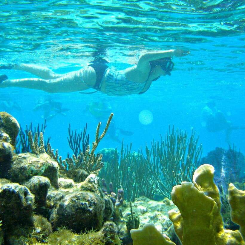 Nha Trang: Mun Island Snorkeling Adventure and BBQ Lunch - Tour Overview and Pricing
