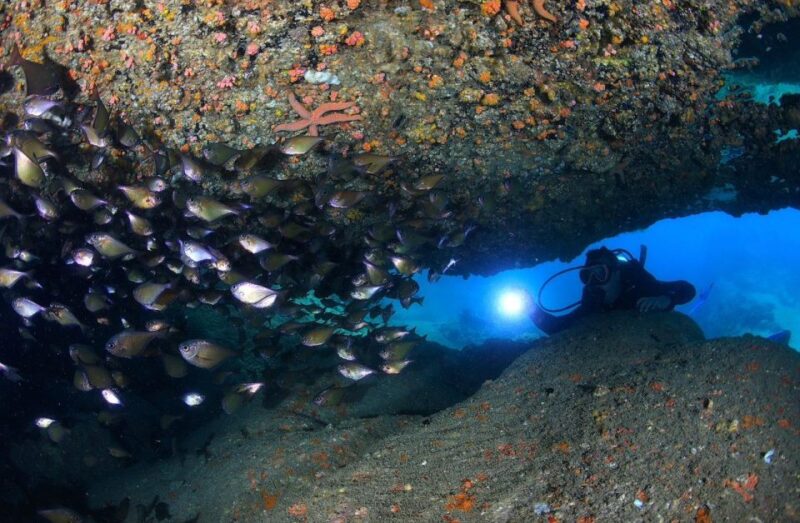 Nha Trang: Professional Scuba Diving for Certified Divers - Itinerary Details