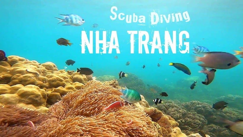 Nha Trang: Scuba Diving and Eco-Tourism Island Day Trip - Overview of the Nha Trang Scuba Diving Experience