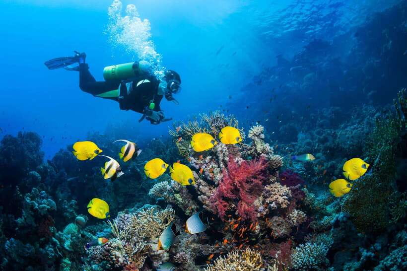 Nha Trang: Scuba Diving and Eco-Tourism Island Day Trip - Exploring the Underwater World