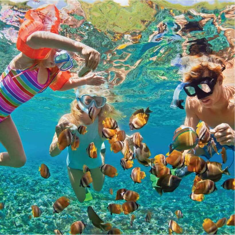 Nha Trang: Scuba Diving and Eco-Tourism Island Day Trip - Dining With a View at Hon Tre Island