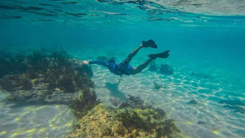 Nha Trang: Scuba Diving and Eco-Tourism Island Day Trip - Relaxation at Coral Bay 2 Resort