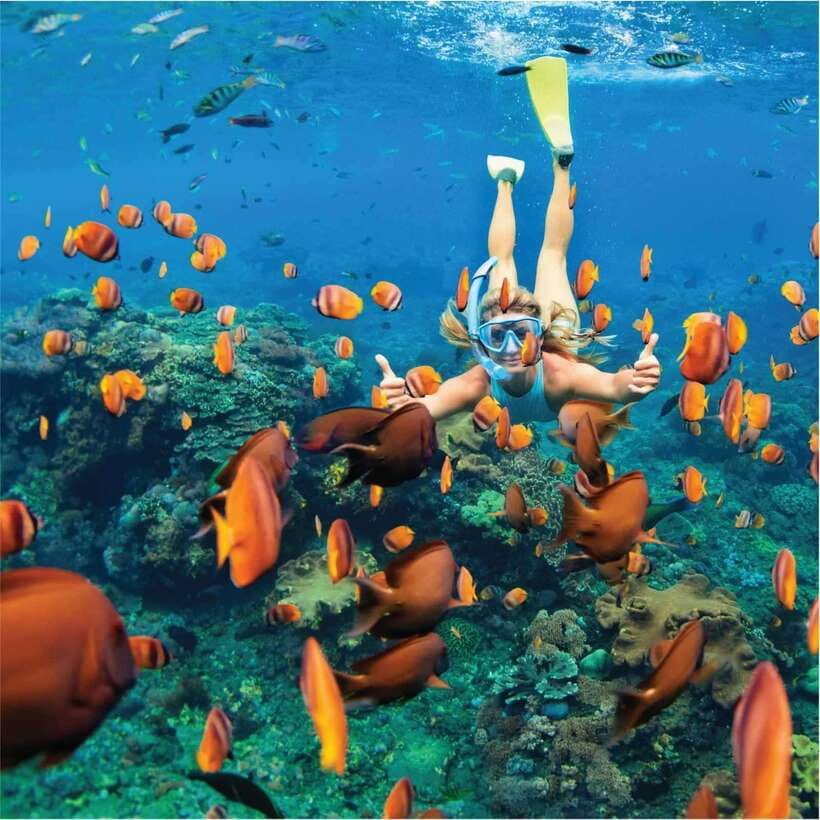 Nha Trang: Scuba Diving and Eco-Tourism Island Day Trip - Frequently Asked Questions