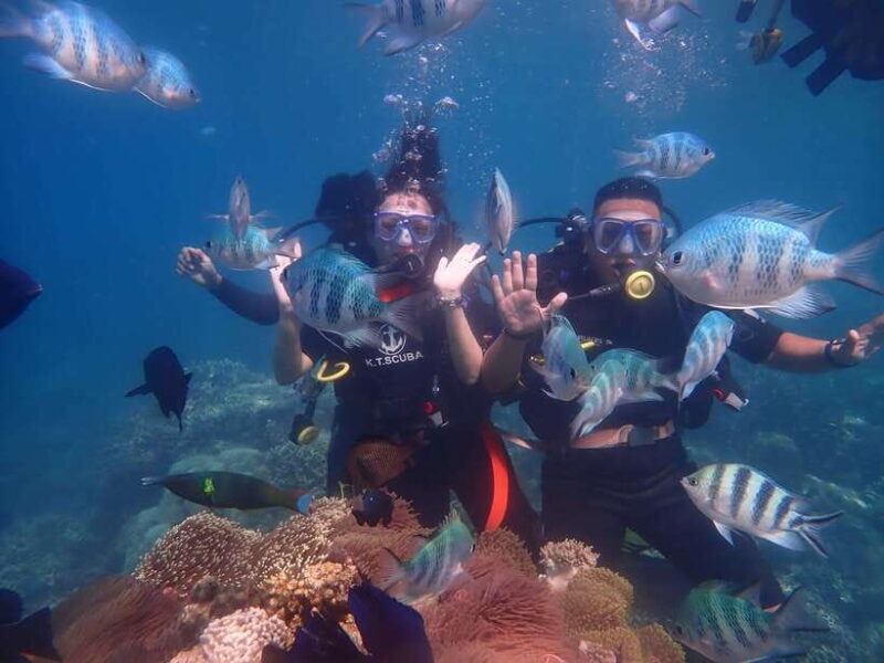 Nha Trang : Scuba Diving Experience for Certified Dive - Key Points
