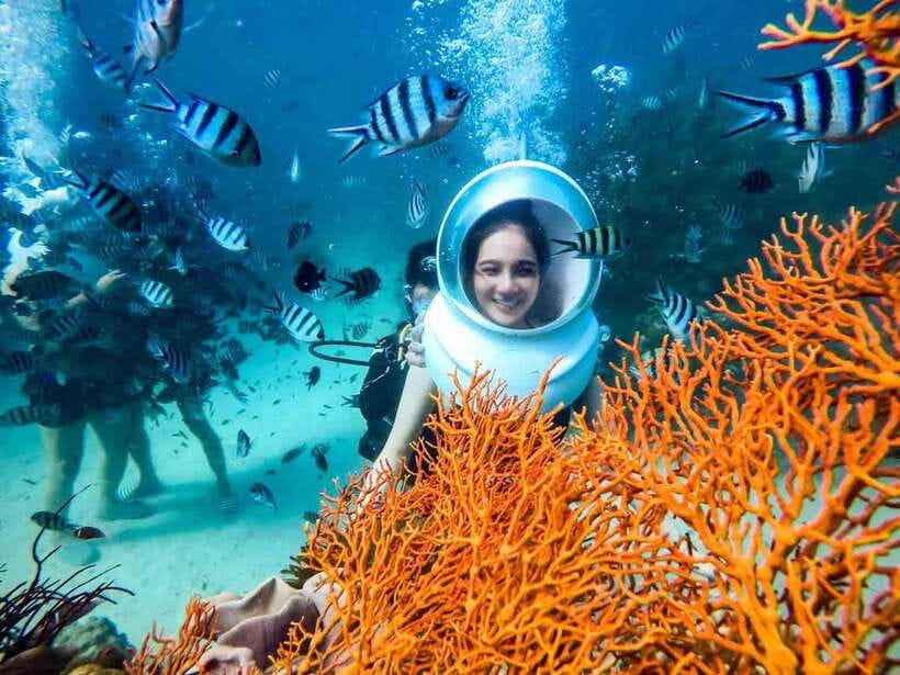 Nha Trang: Sea Walking and Coral Bay Tour With Lunch - Key Points