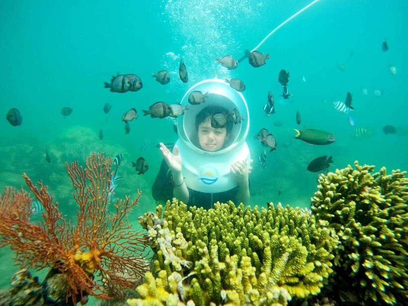 Nha Trang: Sea Walking and Coral Bay Tour With Lunch - Tour Overview