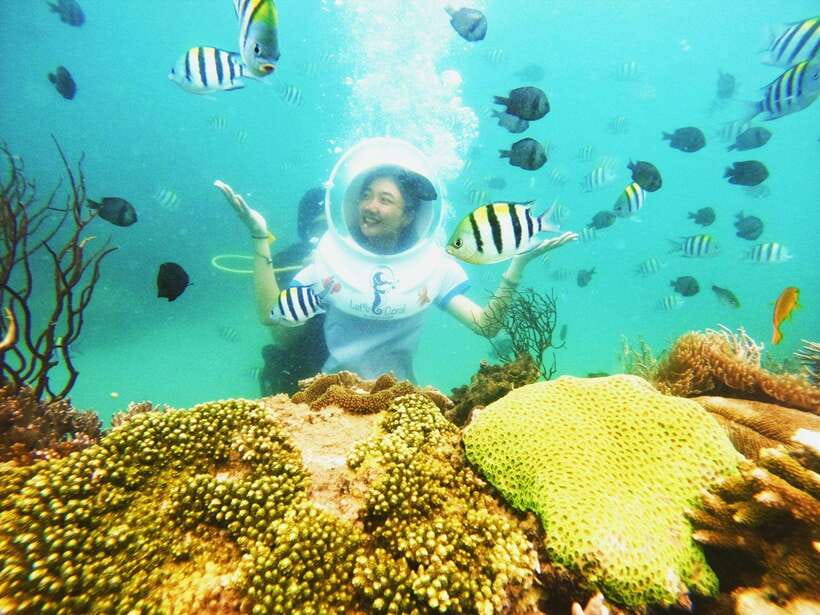 Nha Trang: Sea Walking and Coral Bay Tour With Lunch - Underwater Exploration