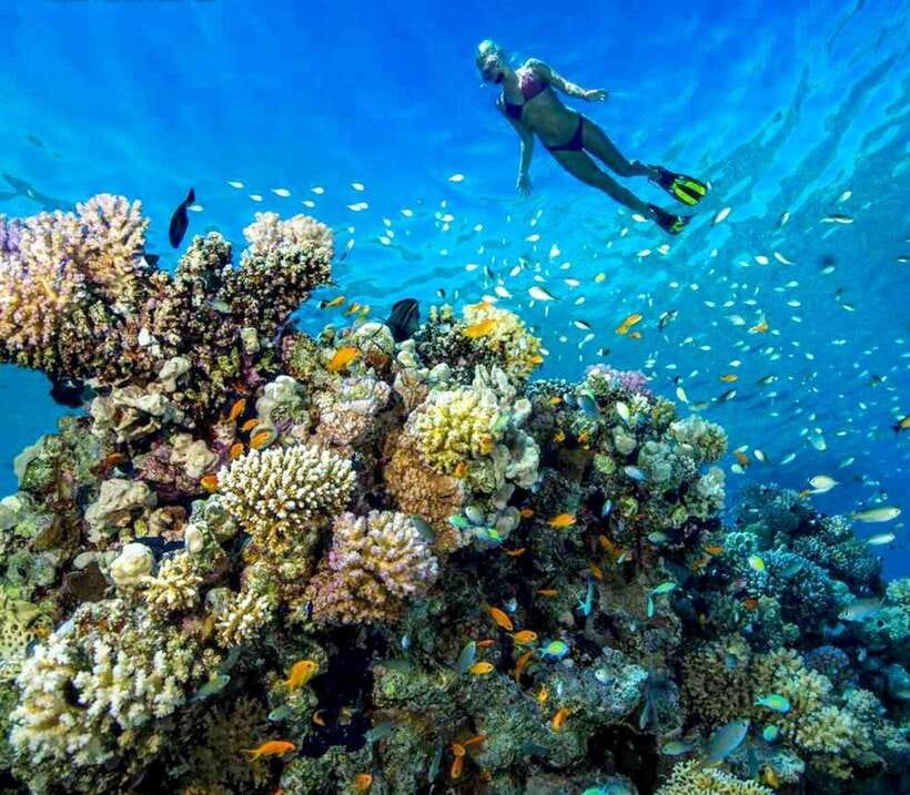 Nha Trang: Sea Walking and Coral Bay Tour With Lunch - Important Considerations