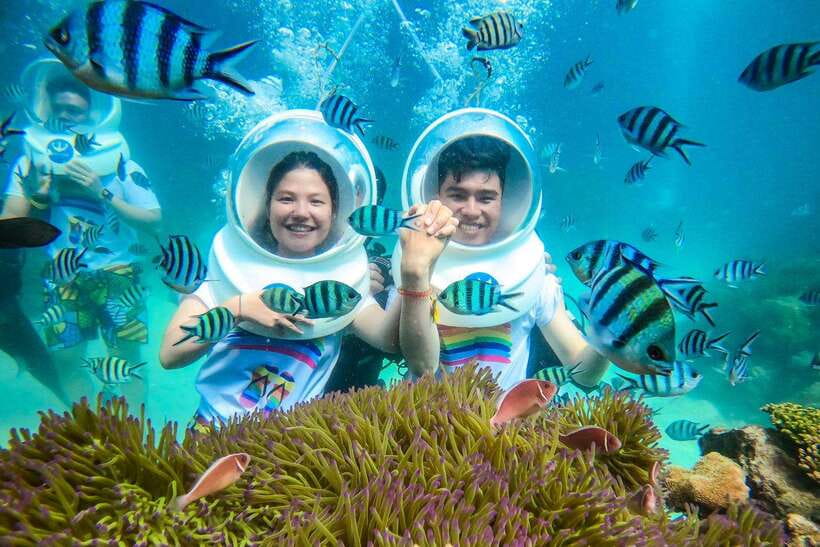 Nha Trang: Sea Walking and Coral Bay Tour With Lunch - How to Book and Availability