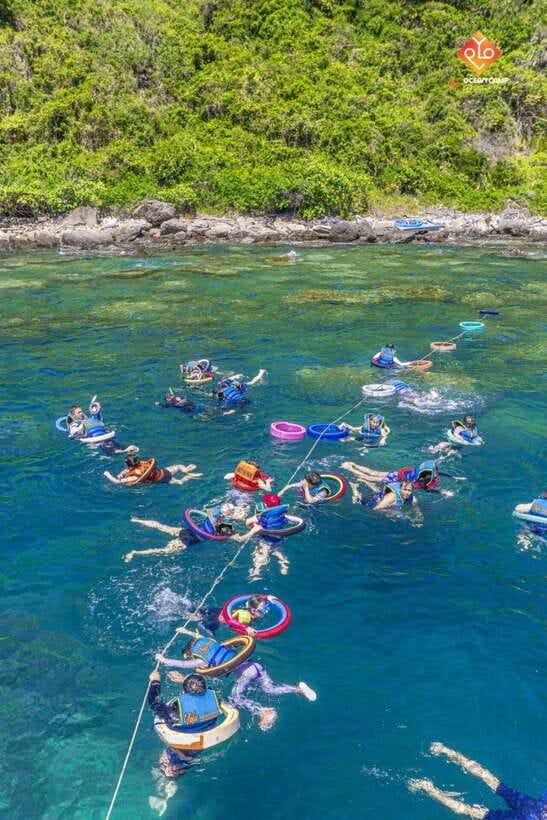 Nha Trang: Snorkeling at Marine Park With Lunch - Key Points