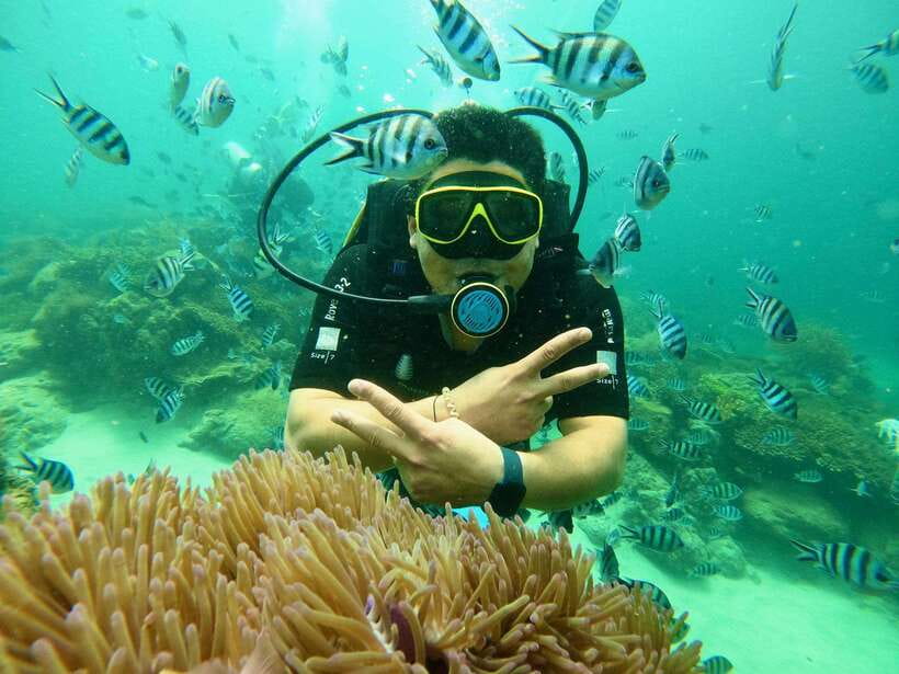 Nha Trang: Snorkeling at Marine Park With Lunch - Tour Overview