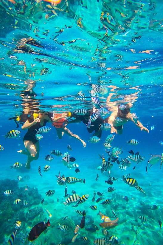 Nha Trang: Snorkeling at Marine Park With Lunch - Convenient Pickup and Drop-off