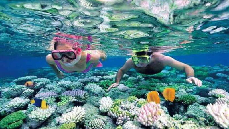 Nha Trang: Snorkeling, Fishing, BBQ and Relax at Mini Beach - BBQ Lunch: A Taste of Vietnamese Cuisine