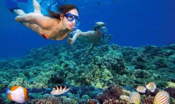 Nha Trang: Snorkeling, Fishing, BBQ and Relax at Mini Beach - Customer Feedback: What to Expect