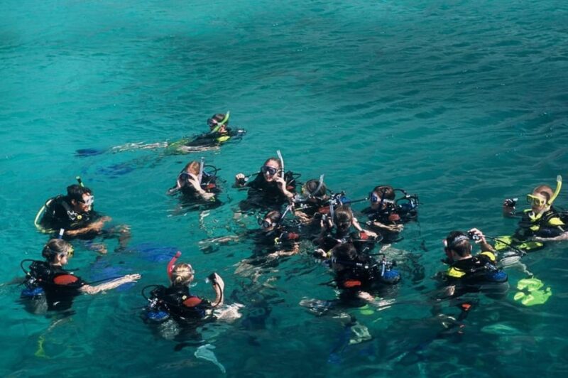 Nha Trang: Snorkeling, Mun Island and Mini Beach Day Trip - Activities and Water Sports
