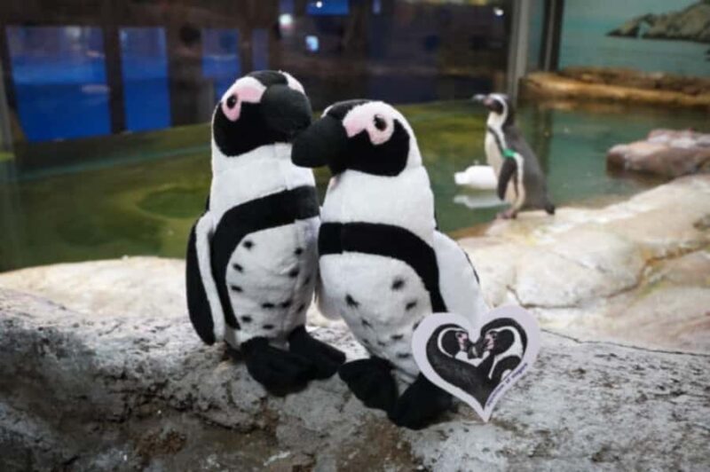 Niagara: Aquarium of Niagara General Admission - An In-Depth Look at the Aquarium Experience