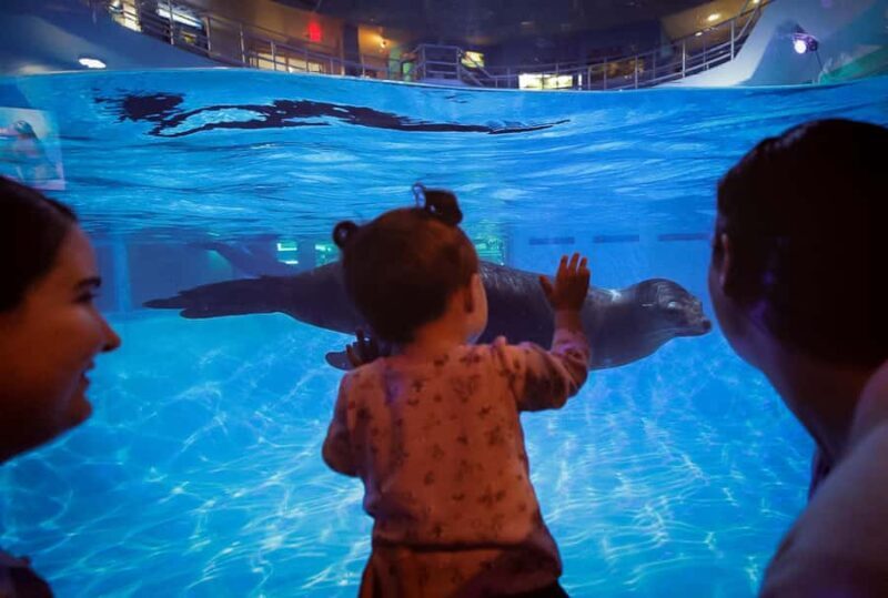 Niagara: Aquarium of Niagara General Admission - The Sum Up