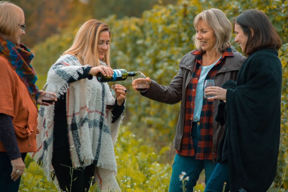 Niagara, Canada: Half-Day Winery Tour With Tastings - Key Points