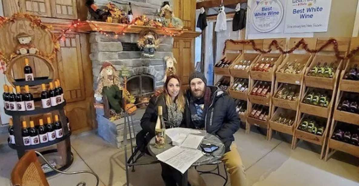 Niagara Falls: All-Inclusive Small-Group Boutique Wine Tour - Pricing and Booking