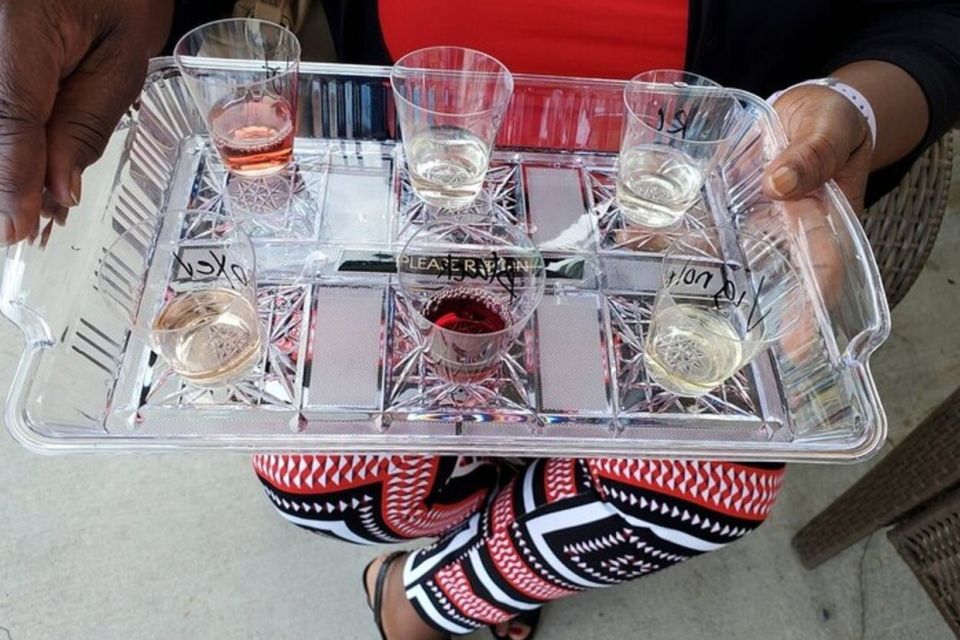 Niagara Falls: All-Inclusive Small-Group Boutique Wine Tour - Wine Tasting Experience