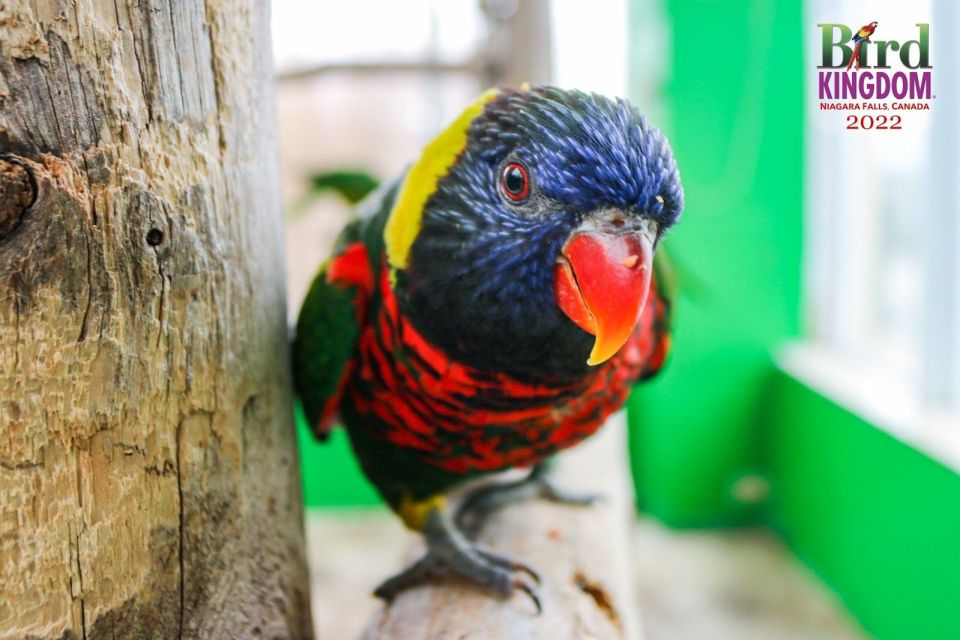 Niagara Falls, Canada: Bird Kingdom Entry Ticket - Getting There
