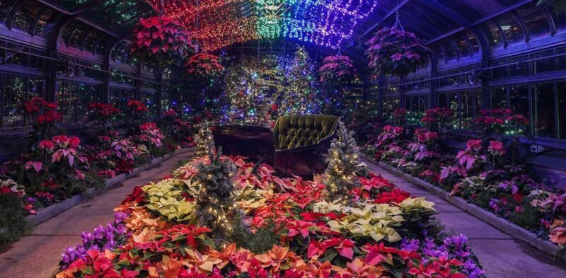 Niagara Falls, Canada: Winter Wonder Tour - Discovering Niagara in Winter: The Details