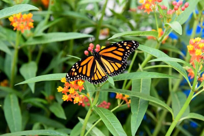 Niagara Falls, Canada: Winter Wonder Tour - Who Should Consider This Tour?