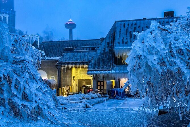 Niagara Falls Mini Group Walking Tour with Niagara Takes Flight - An Overview of the Experience
