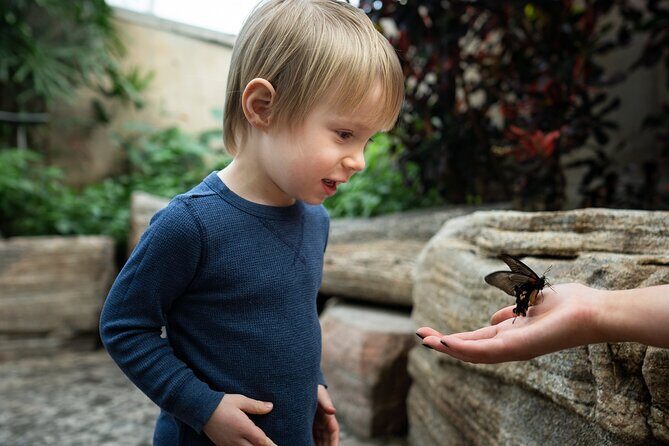 Niagara Falls Pass: 5 Iconic Attractions, WEGO Bus & Audio Guide - Who Will Love This Pass?