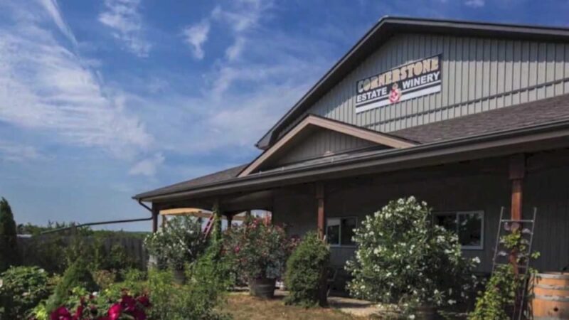 Niagara Falls: Public Niagara Wine Tour with Transportation - Final Thoughts