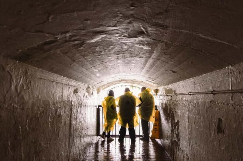 Niagara Falls: Skylon Tower & Journey Behind the Falls Tour - Authentic Experiences and Feedback