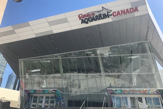 Niagara Falls, Toronto and Thousand Islands 3-Day Tour From NYC - Guest Feedback and Experiences