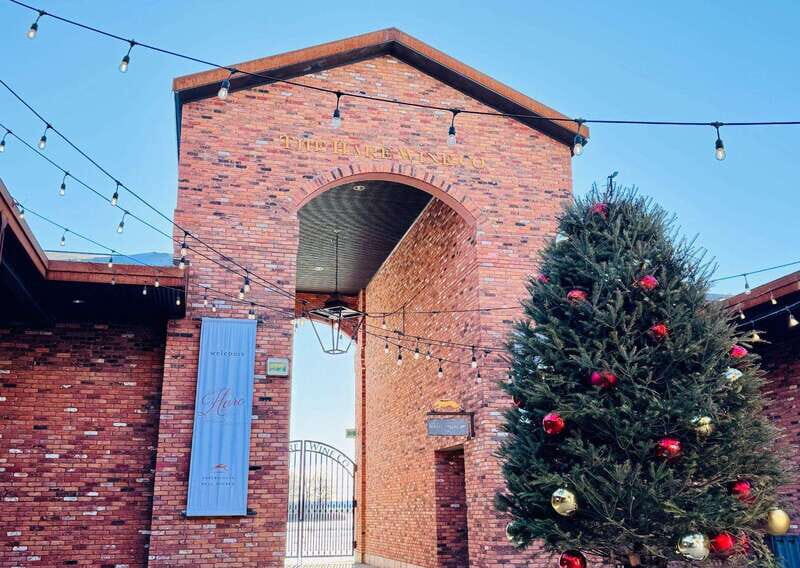 Niagara Falls Tour with Skip the Line Cruise - The Experience in Detail: Breaking Down the Itinerary