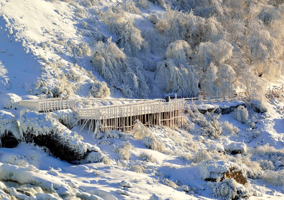 Niagara Falls, USA: Power Of Niagara Falls & Winter Tour - Goat Island Guided Tour