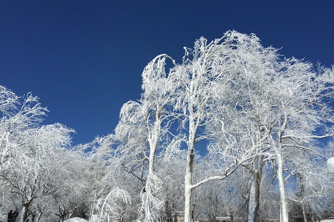 Niagara Falls Winter Wonderland USA Tour (Small Groups) - Tour Duration