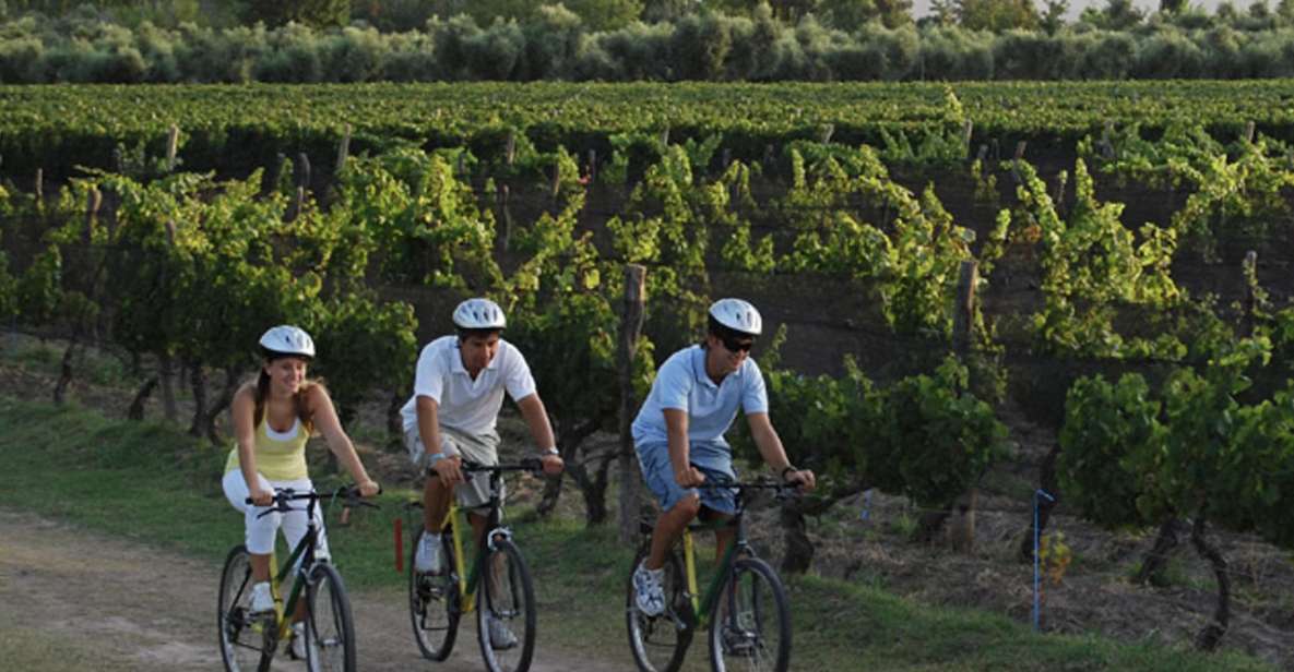 Niagara-On-The-Lake: Bicycle Tour With Wine Tasting - Key Points