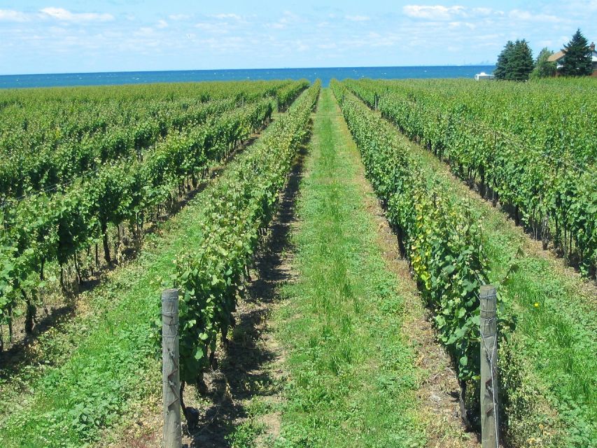 Niagara-on-the-Lake/Niagara Falls: Private Custom Day Trip - Key Points
