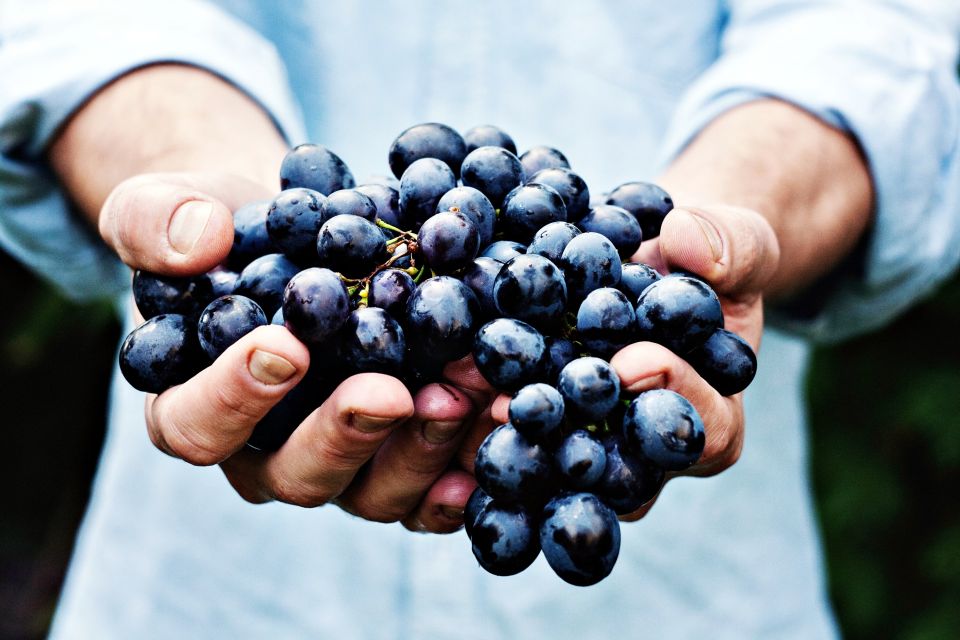 Niagara-On-The-Lake: Wine & Charcuterie Tour With Tastings - Transportation and Pickup/Drop-off
