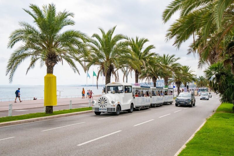 Nice: a Gentle Ride on a Little Electric Train With a Panoramic View - Accessibility and Language