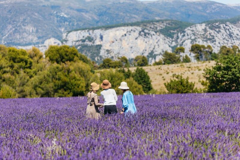 Nice: Gorges of Verdon and Fields of Lavender Tour - Itinerary Breakdown