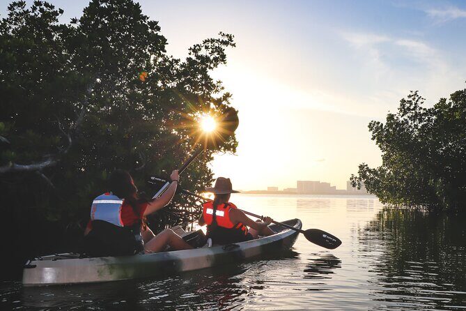 Nichupte Lagoon! Mangrove Kayaking Experience from Cancun - Exploring the Nichupte Lagoon Kayaking Tour