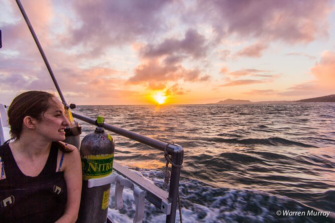 Night Dive Adventure in Oahu - Whats Included in Your Dive Package