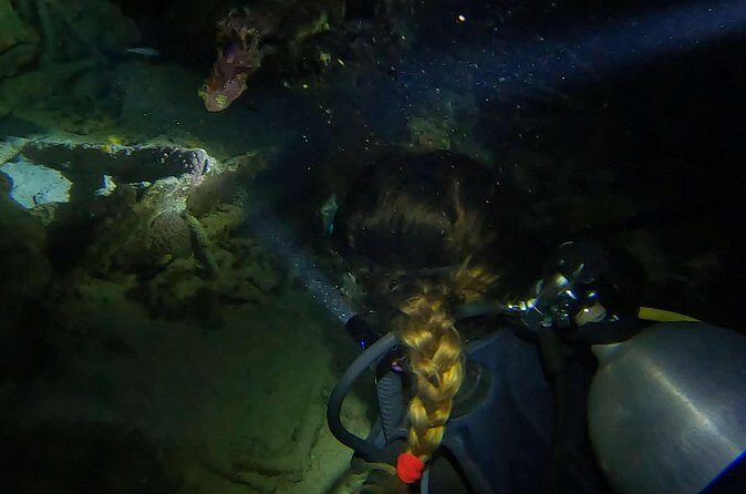 Night dive at Tugboat Beach in Curacao - Authentic Insights from Participants