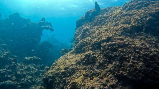 Night Diving From Stunning Coral Reef in the Heart of Phuket - Certification Requirements